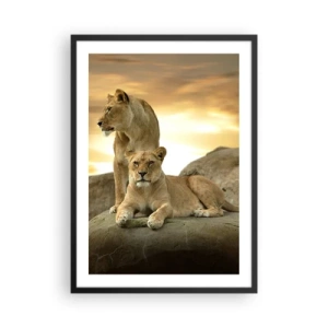 Affiche dans un cadre noir - Poster - Deux lionnes contre le soleil couchant - 50x70cm - Majesté royale - Décoration murale moderne pour le salon et la chambre ARTTOR