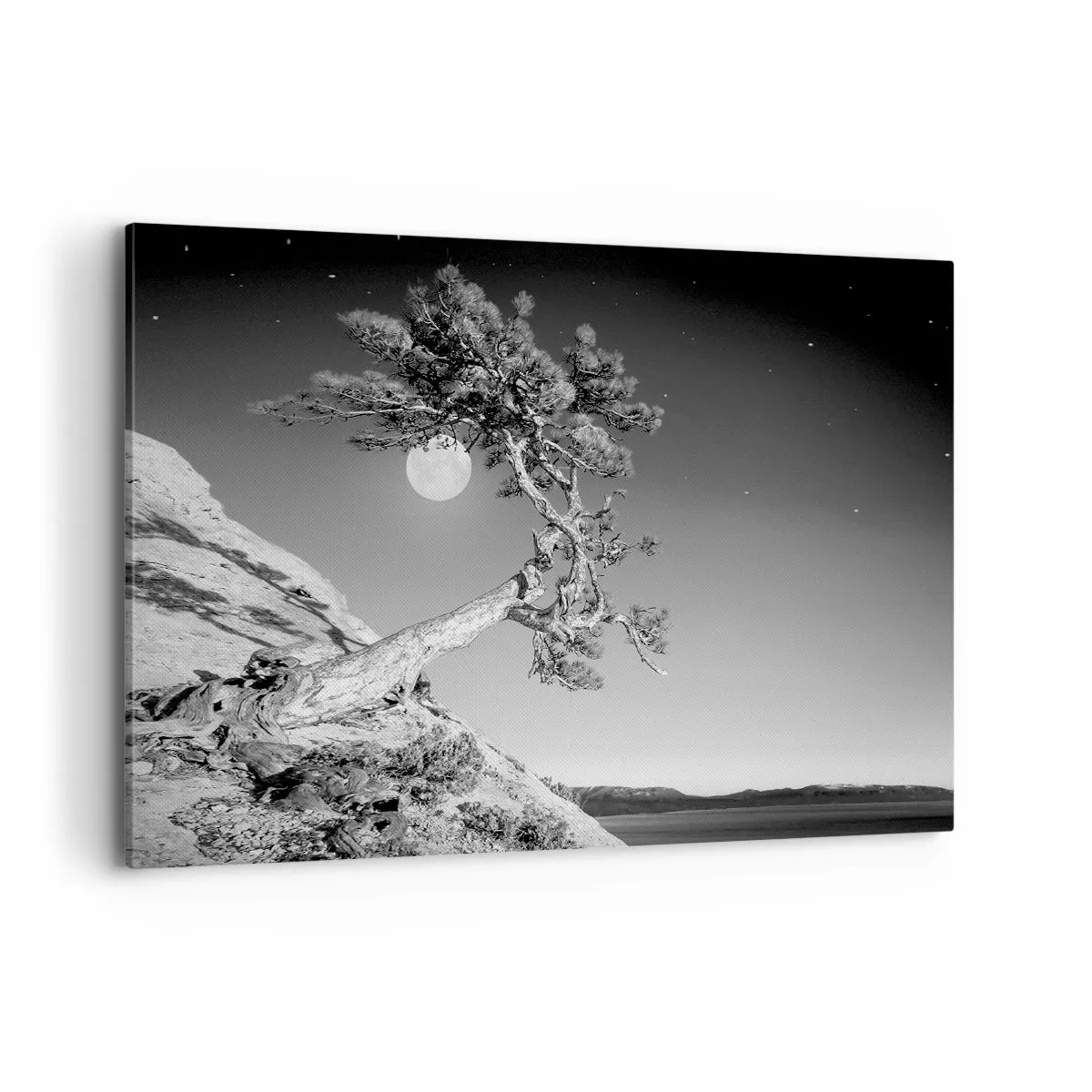 Impression sur toile - Image sur toile - Arbre noir et blanc sur une falaise avec la lune en arrière-plan - 100x70cm - Un combattant vainqueur - Décoration murale moderne pour le salon et la chambre ARTTOR