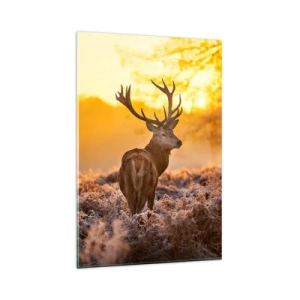 Impression sur verre - Image sur verre - Un cerf sur fond de forêt d'automne illuminée par le soleil doré - 80x120cm - Roi de la forêt automnal - Décoration murale moderne pour le salon et la chambre ARTTOR