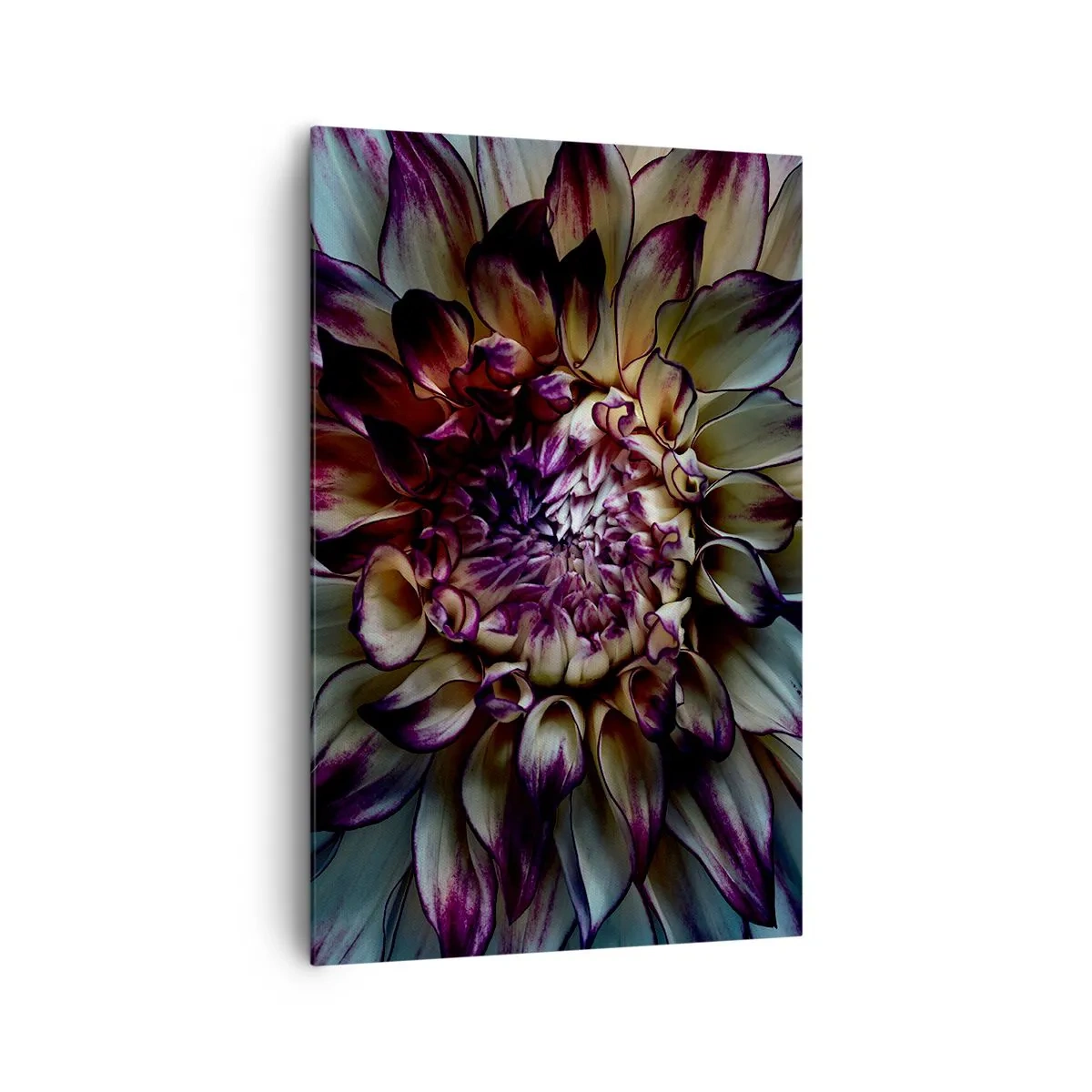Impression sur toile - Image sur toile - Gros plan d'une fleur de dahlia dans des tons sombres - 80x120cm - L'apogée de la jeunesse - Décoration murale moderne pour le salon et la chambre ARTTOR