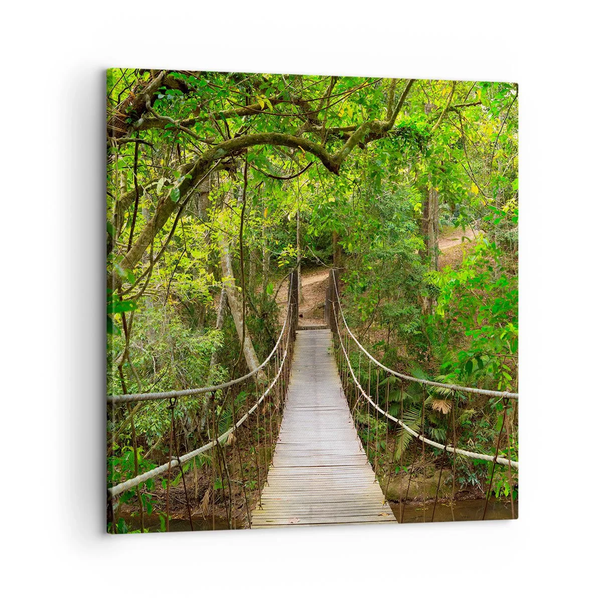 Impression sur toile - Image sur toile - Parce qu'il y a une plante grimpante dans le jardin - 60x60 cm