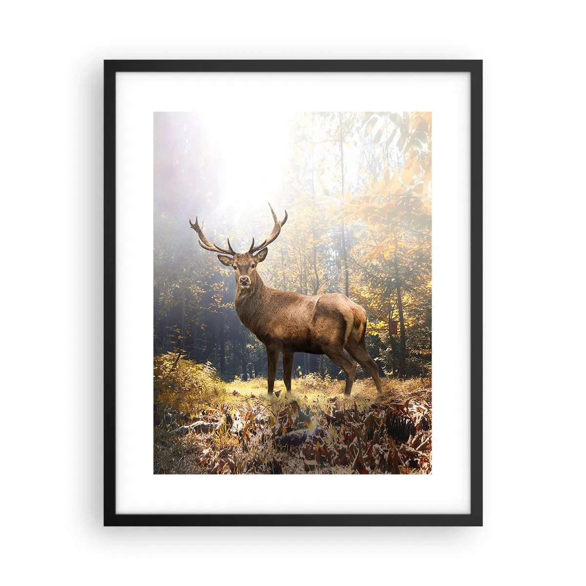 Affiche dans un cadre noir - Poster - Toute sa majesté - 40x50 cm