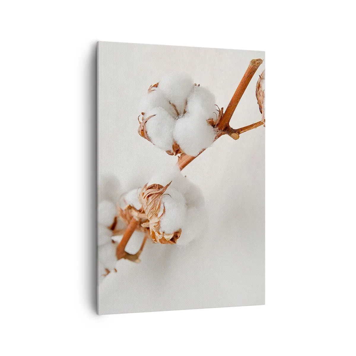 Impression sur toile - Image sur toile - Un brin de coton sur un fond subtil - 70x100cm - Seulement caliner - Décoration murale moderne pour le salon et la chambre ARTTOR