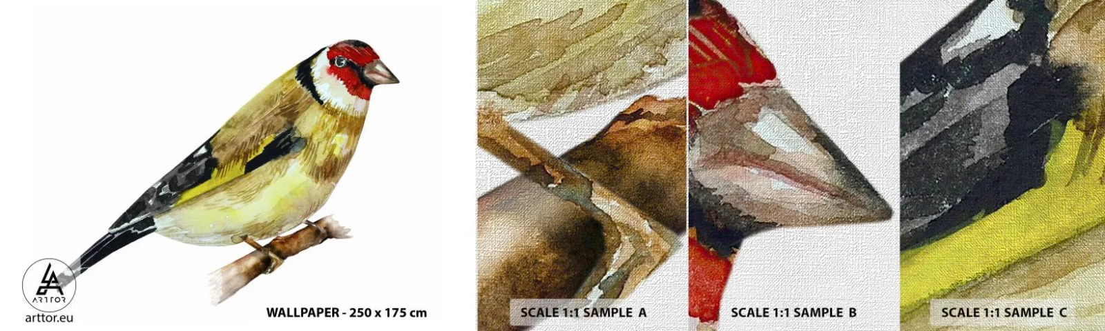 Échantillon de Papier Peint Premium Canvas - Portrait d'oiseau - Chardonneret, Oiseau, Morceau - 100x30 cm