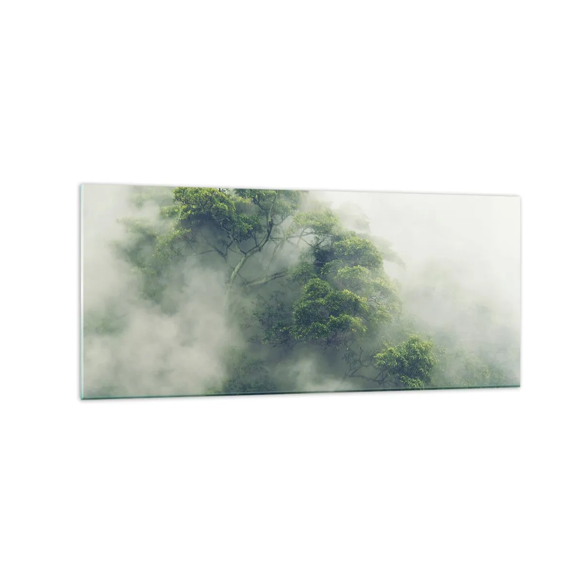 Impression sur verre - Image sur verre - Arbres verts dans un épais brouillard sur fond naturel - 120x50cm - Enveloppé de brouillard - Décoration murale moderne pour le salon et la chambre ARTTOR