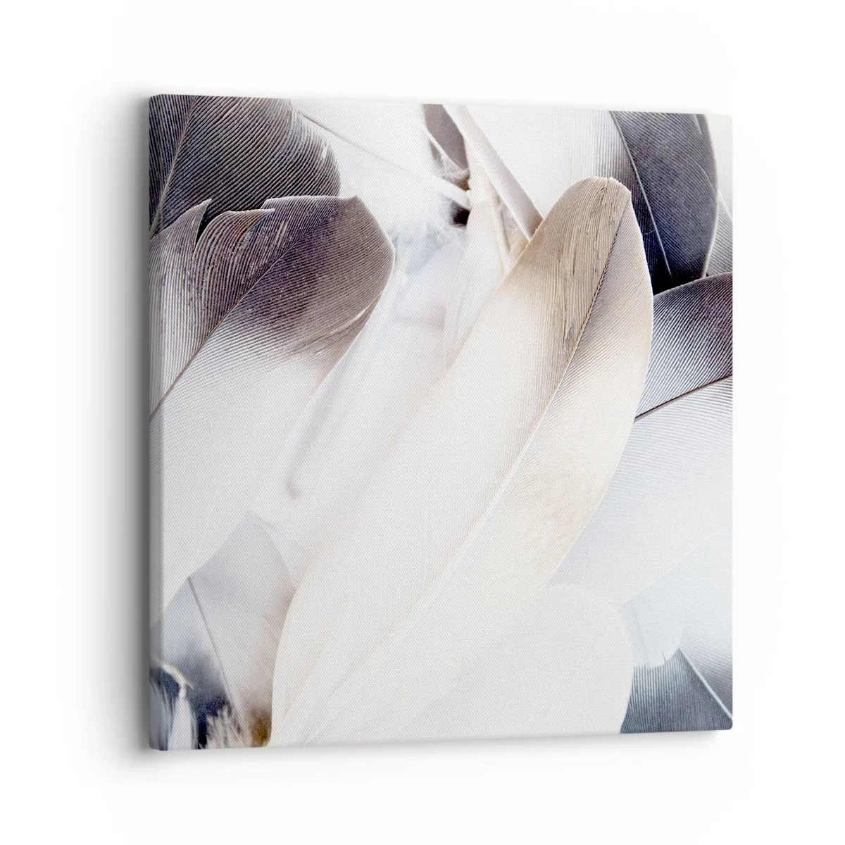 Impression sur toile - Image sur toile - Presque angélique - 30x30 cm