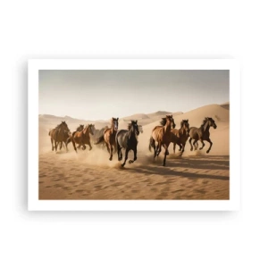 Affiche - Poster - Libre comme le vent - 70x50 cm