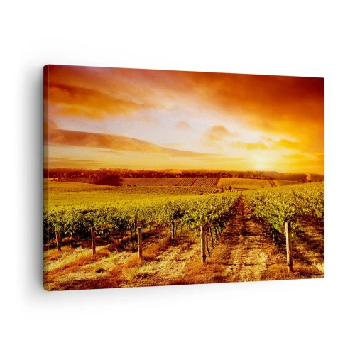Impression sur toile - Image sur toile - Vignoble au coucher du soleil avec des tons de ciel chauds - 70x50cm - Légèrement fruité avec une pointe de soleil - Décoration murale moderne pour le salon et la chambre ARTTOR