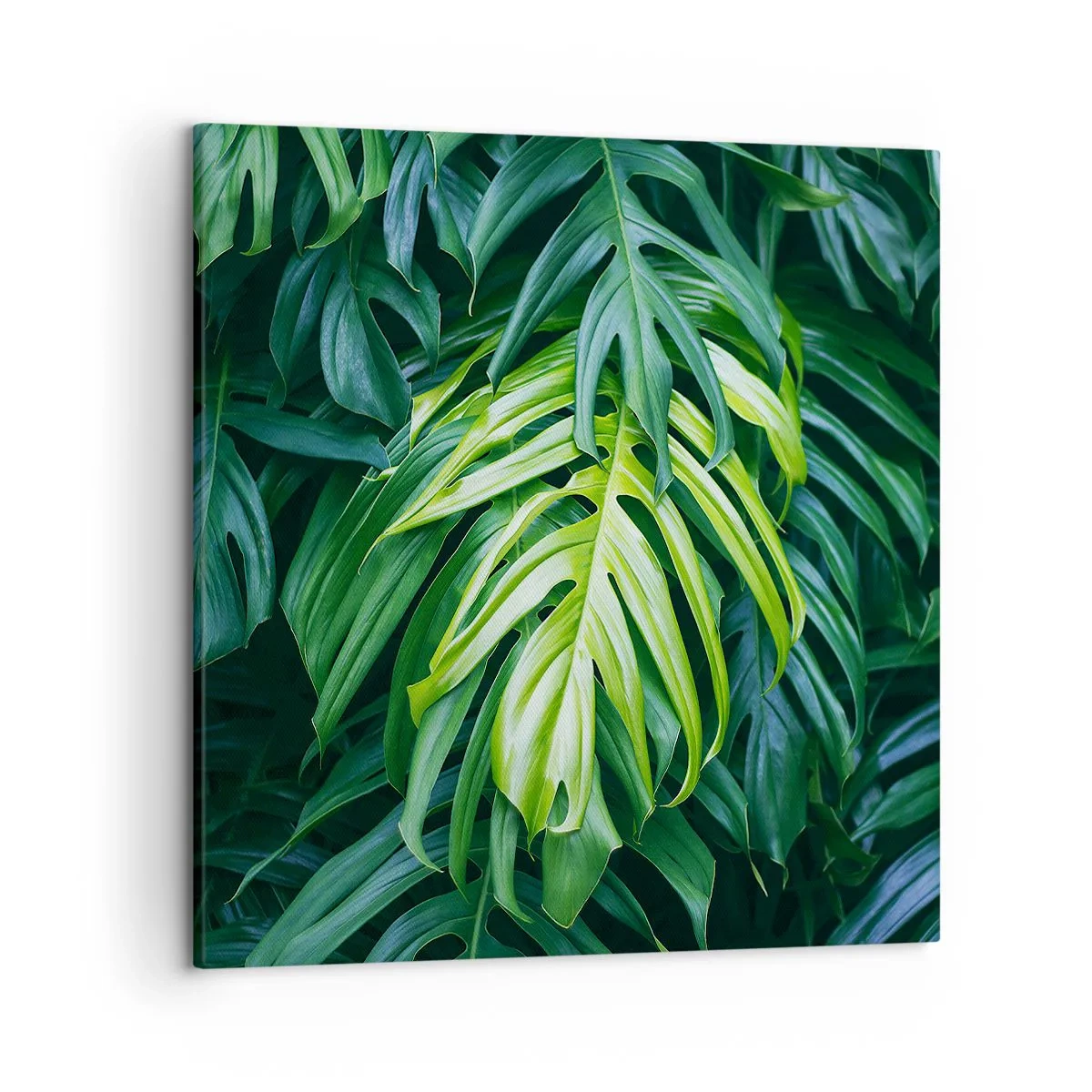 Impression sur toile - Image sur toile - Immergez-vous dans la fraîcheur - 50x50 cm