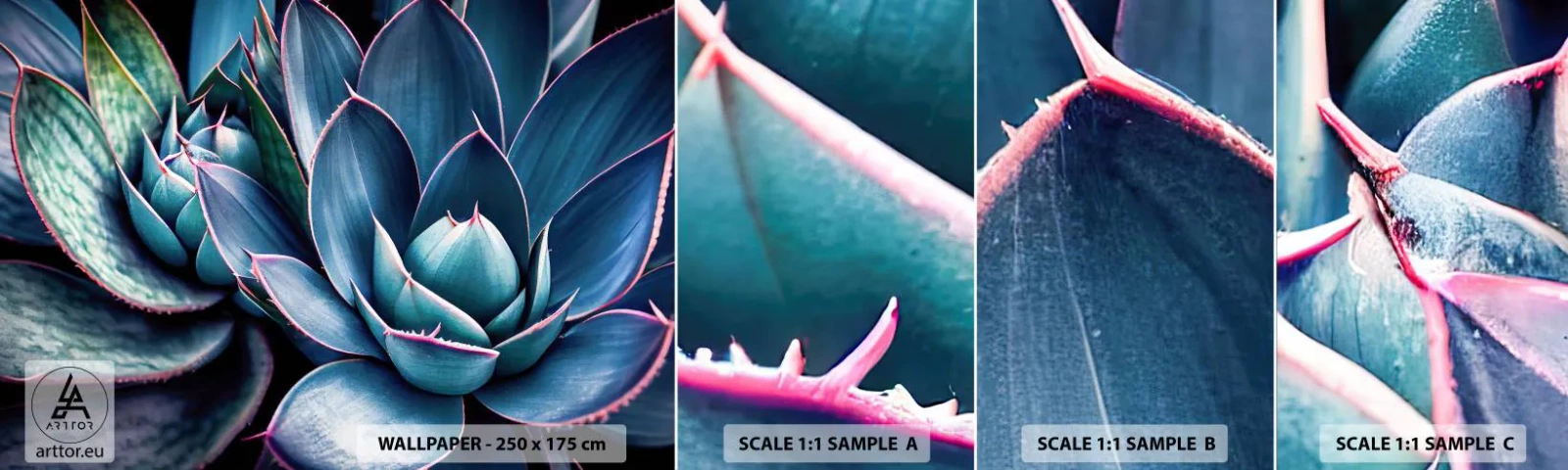 Échantillon de Papier Peint Autocollant Deluxe Sticker - Force vital - Fleurs, Botanique, Plantes succulentes - 100x30 cm