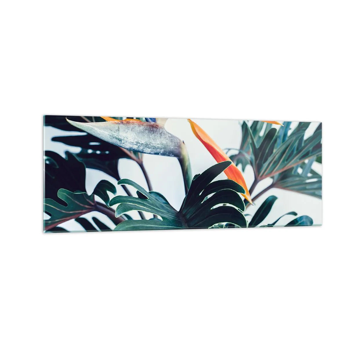 Impression sur verre - Image sur verre - Fleur de Strelitzia entourée de feuilles sous une lumière vive - 140x50cm - Le buisson oiseaux - Décoration murale moderne pour le salon et la chambre ARTTOR