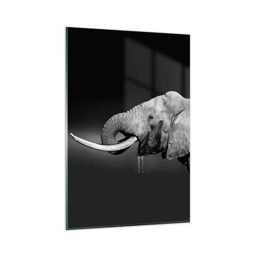 Impression sur verre - Image sur verre - Portrait noir et blanc d'un éléphant de profil - 80x120cm - Oui, c'est bon maintenant - Décoration murale moderne pour le salon et la chambre ARTTOR