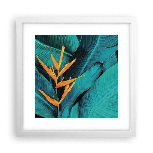 Affiche dans un cadre blanc - Poster - Fleur d'Eden - 30x30 cm