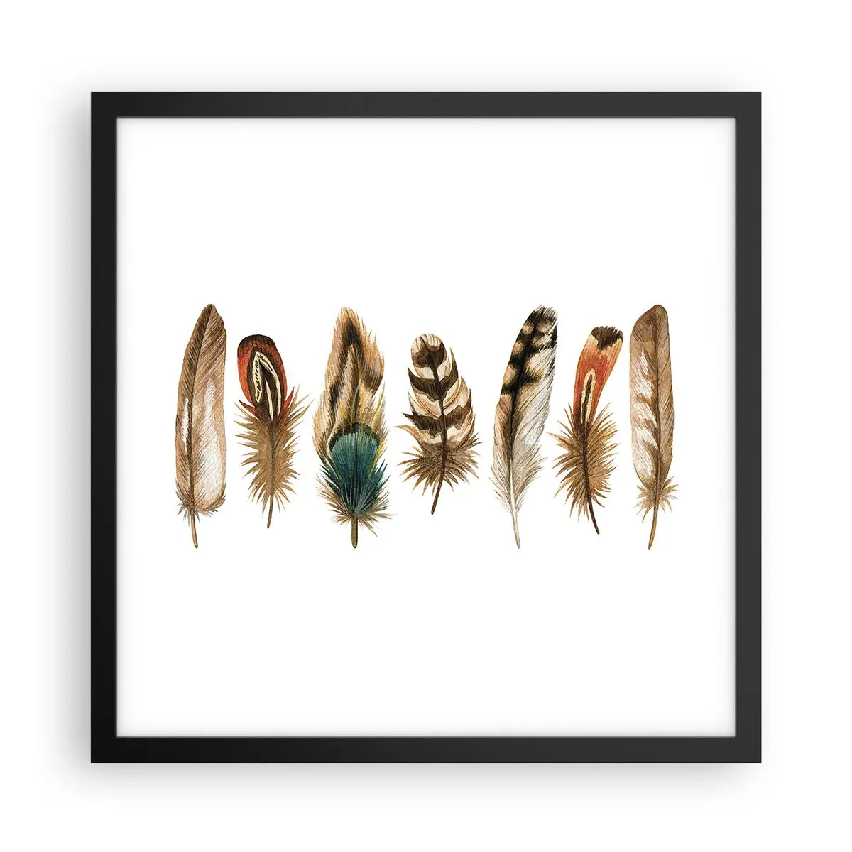Affiche dans un cadre noir - Poster - Variation à plumes - 40x40 cm