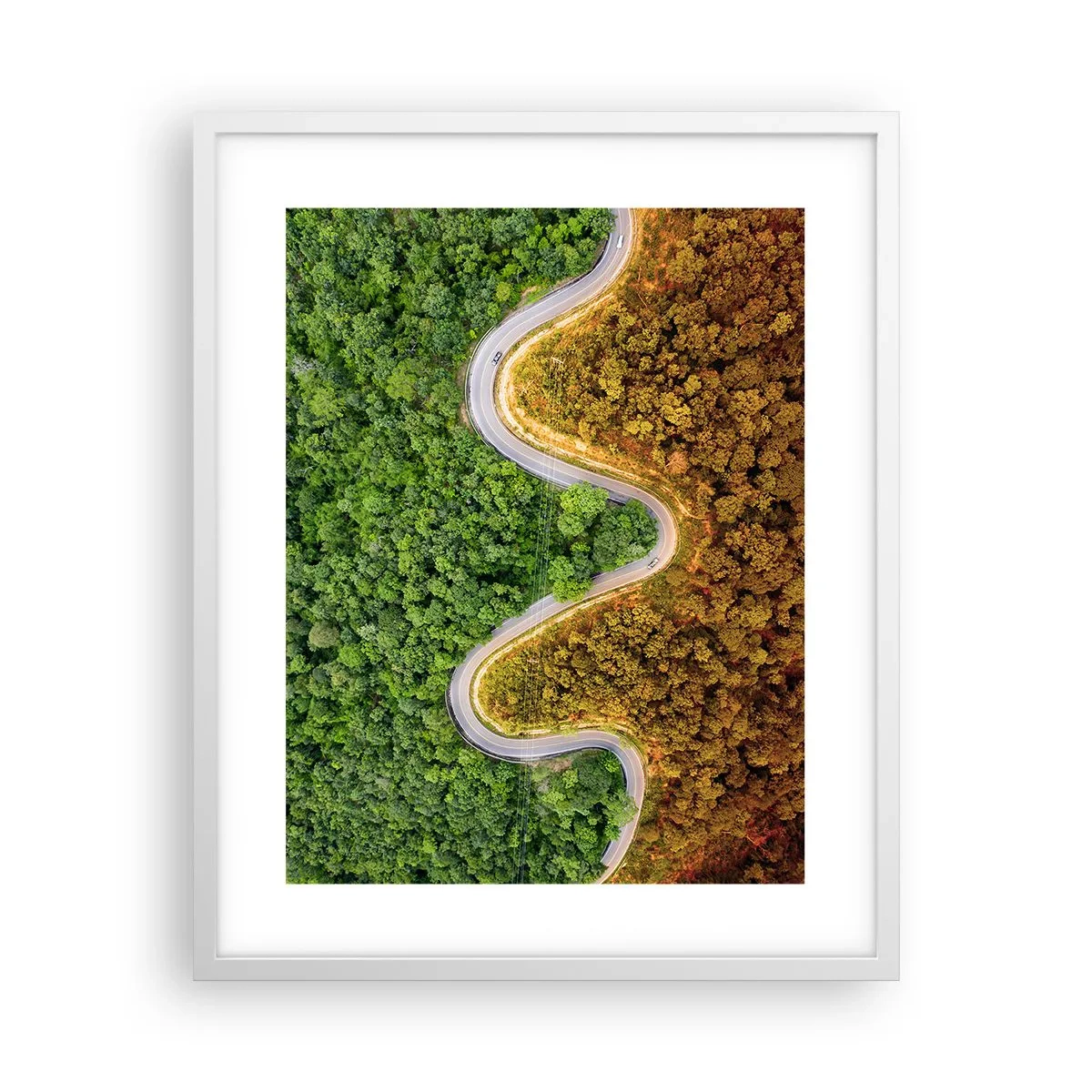 Affiche dans un cadre blanc - Poster - Frontieres et differences - 40x50 cm