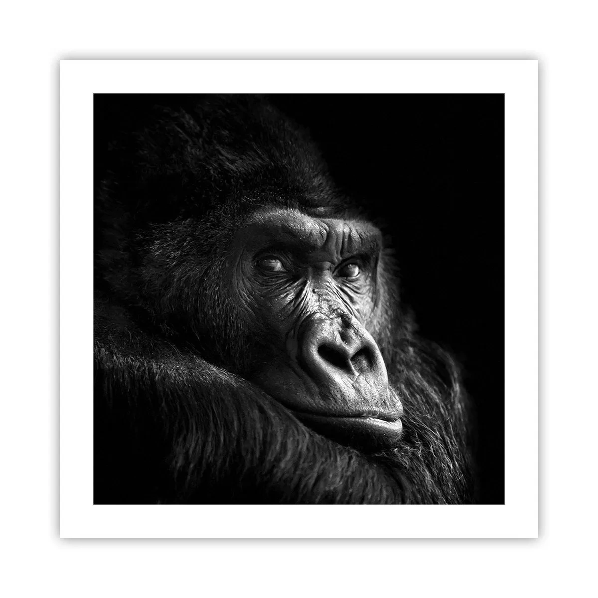 Affiche - Poster - Et qu'est-ce que tu regardes? - 50x50 cm