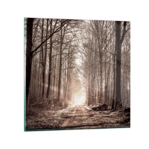 Impression sur verre - Image sur verre - Cathédrale de la forêt - 60x60 cm