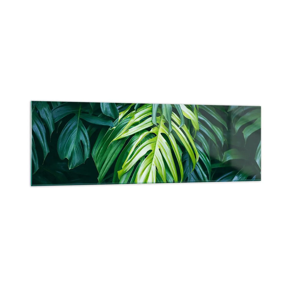 Impression sur verre - Image sur verre - Feuilles vertes dans un arrangement tropical dense - 160x50cm - Immergez-vous dans la fraîcheur - Décoration murale moderne pour le salon et la chambre ARTTOR