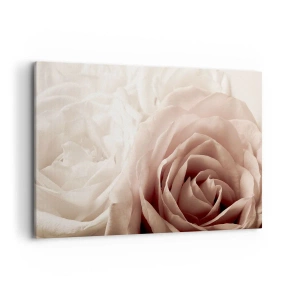 Impression sur toile - Image sur toile - Roses délicates dans des tons pastel de beige - 100x70cm - Au coeur d'ue la rose - Décoration murale moderne pour le salon et la chambre ARTTOR
