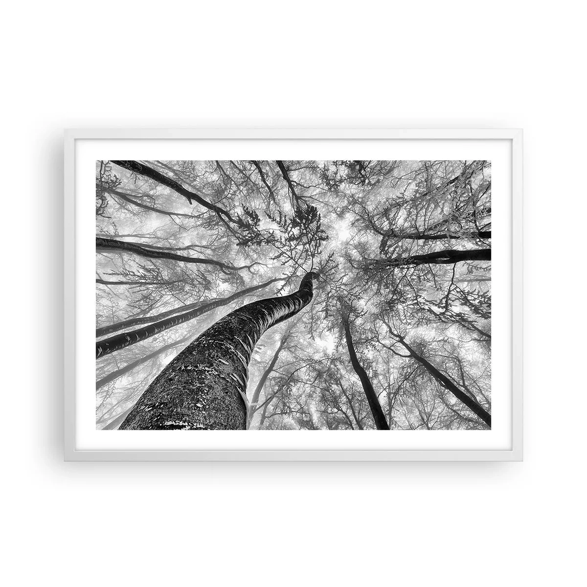 Affiche dans un cadre blanc - Poster - Course vers la lumière - 70x50 cm