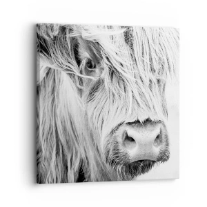 Impression sur toile - Image sur toile - Sauvagerie écossaise - 30x30 cm
