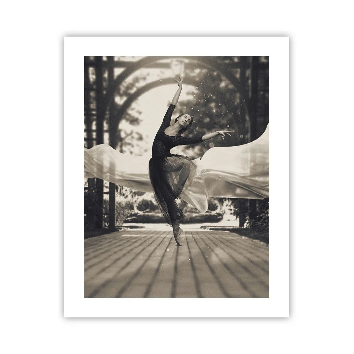 Affiche - Poster - La danse de l'esprit jardin - 40x50 cm