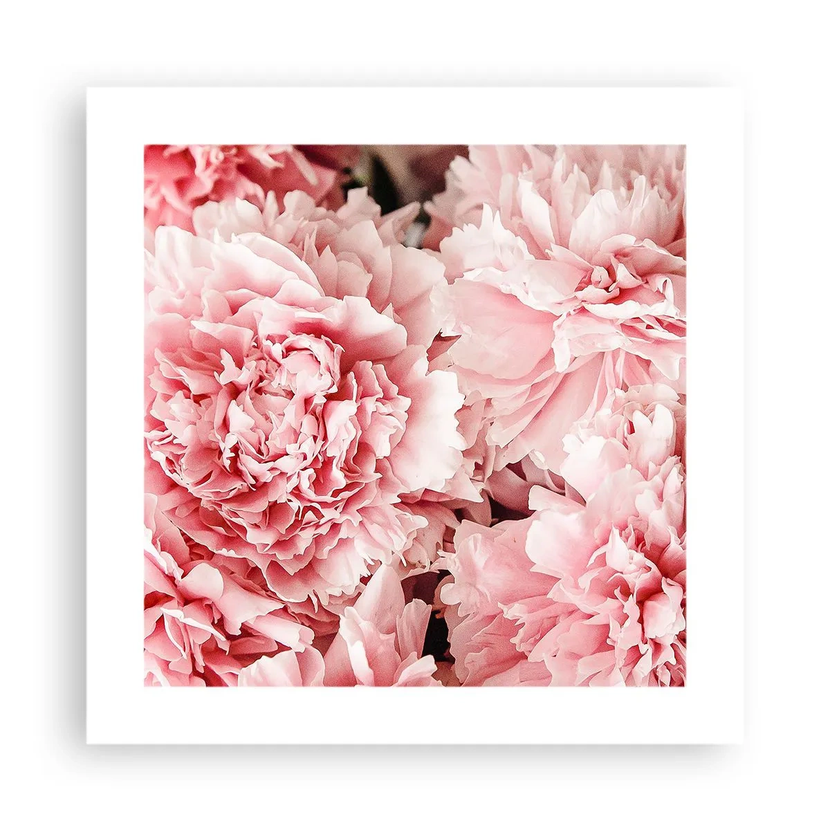 Affiche - Poster - Rêve rose - 40x40 cm