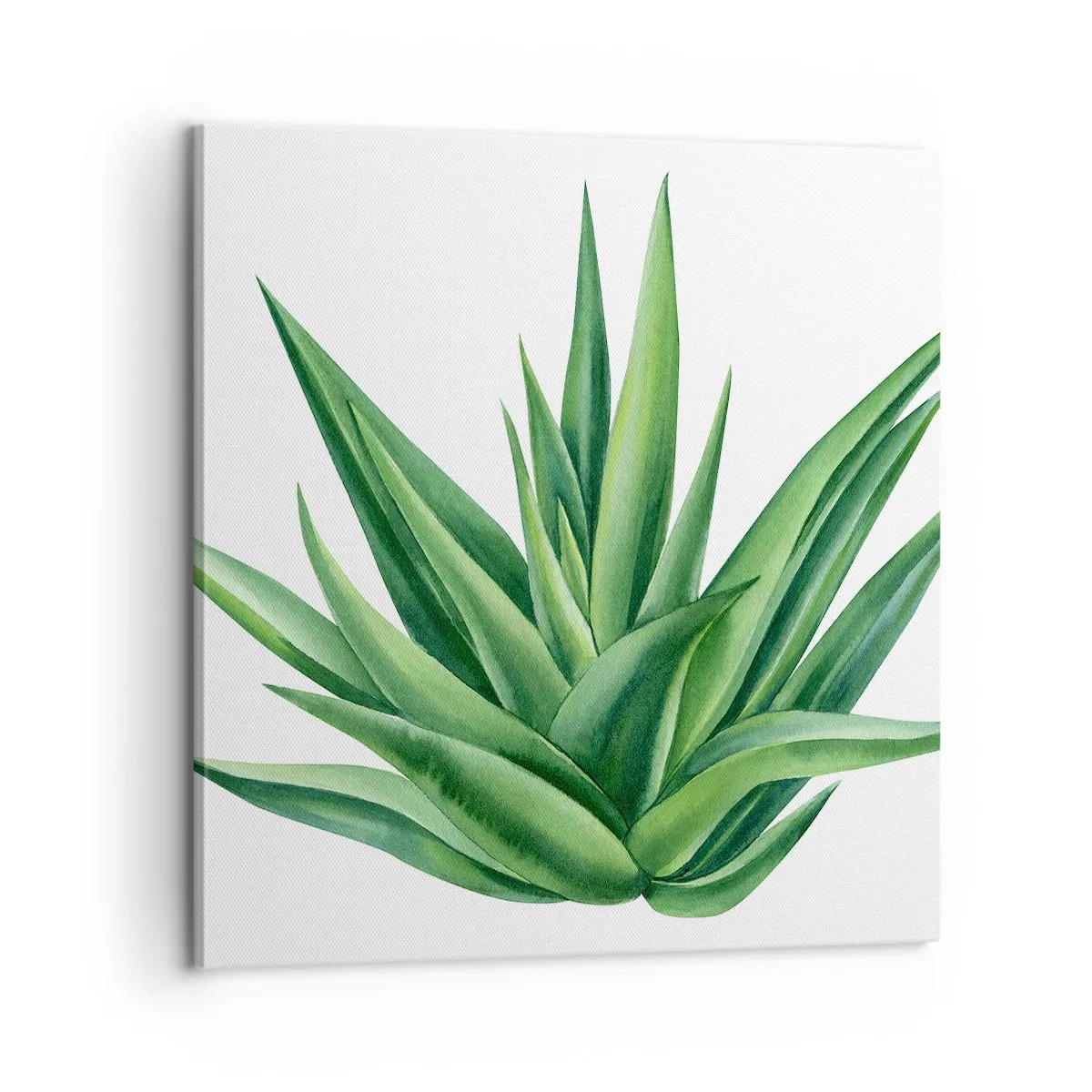 Impression sur toile - Image sur toile - Vert – force – vie - 60x60 cm