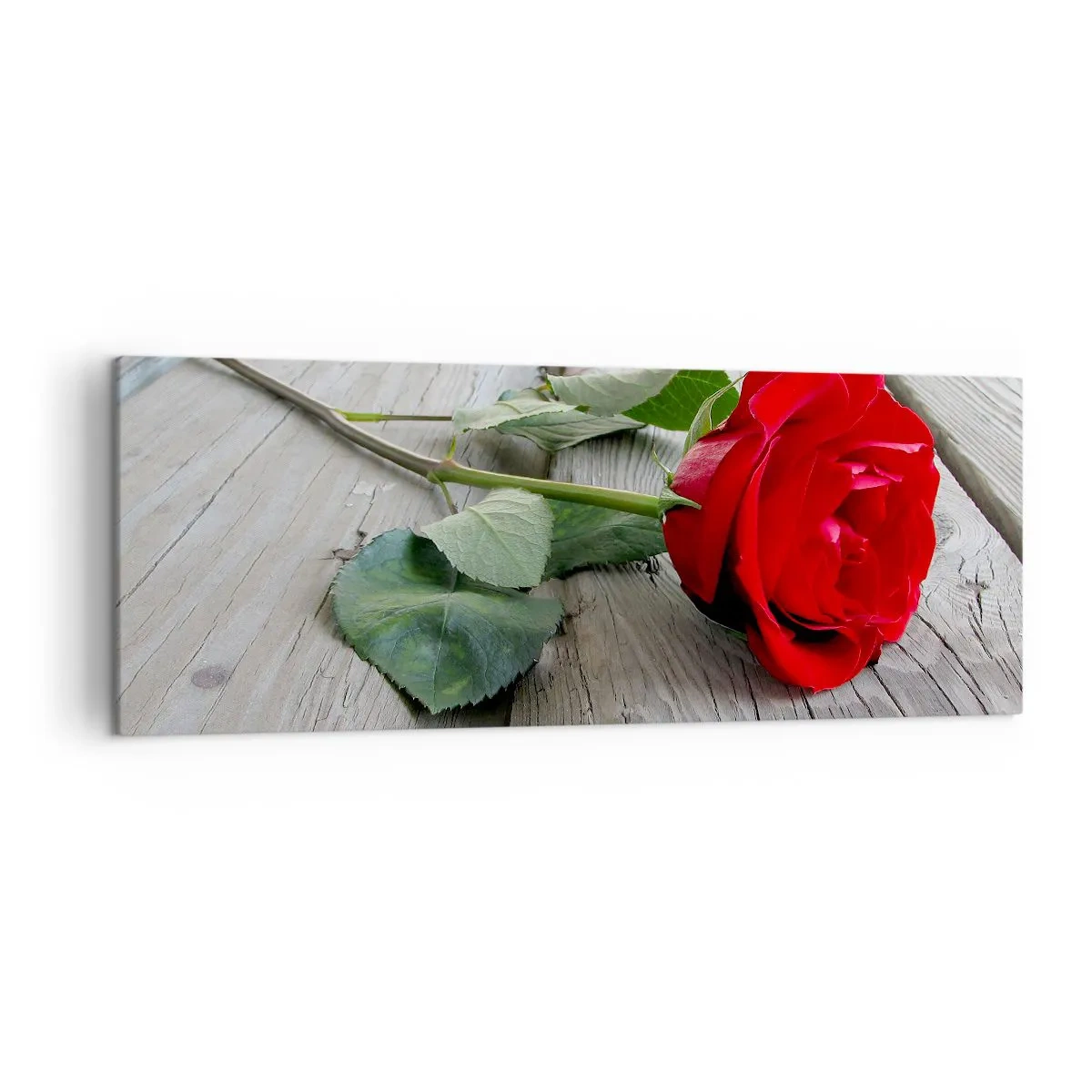 Impression sur toile - Image sur toile - Rose rouge sur fond de bois - 140x50cm - Étude écarlate - Décoration murale moderne pour le salon et la chambre ARTTOR