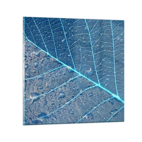 Impression sur verre - Image sur verre - La vie en bleu - 30x30 cm