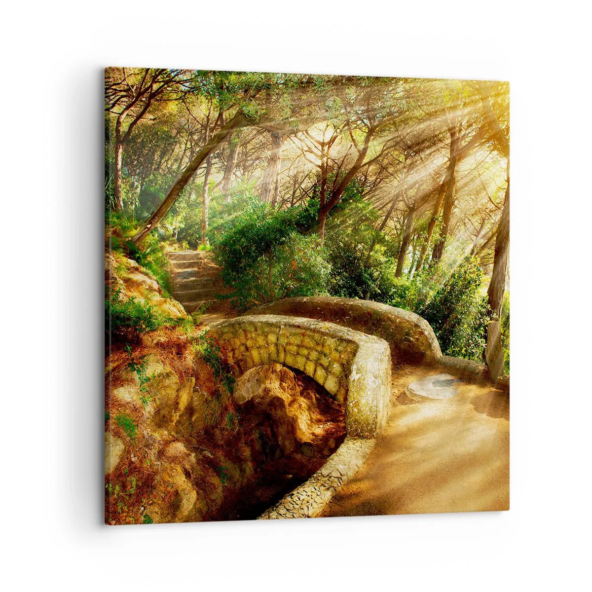 Impression sur toile - Image sur toile - Directement du pont dans une forêt de conte de fées - 50x50 cm
