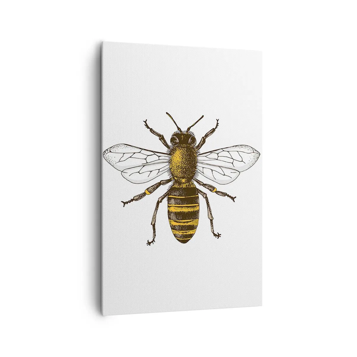 Impression sur toile - Image sur toile - Illustration détaillée d'une abeille sur fond blanc - 80x120cm - Belle et bonne - Décoration murale moderne pour le salon et la chambre ARTTOR