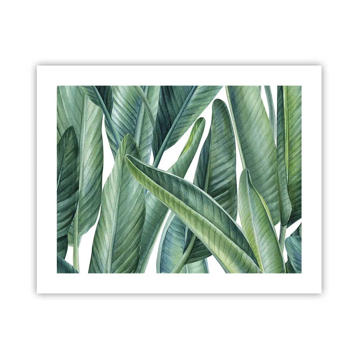 Affiche - Poster - La nature face à elle-même - 50x40 cm