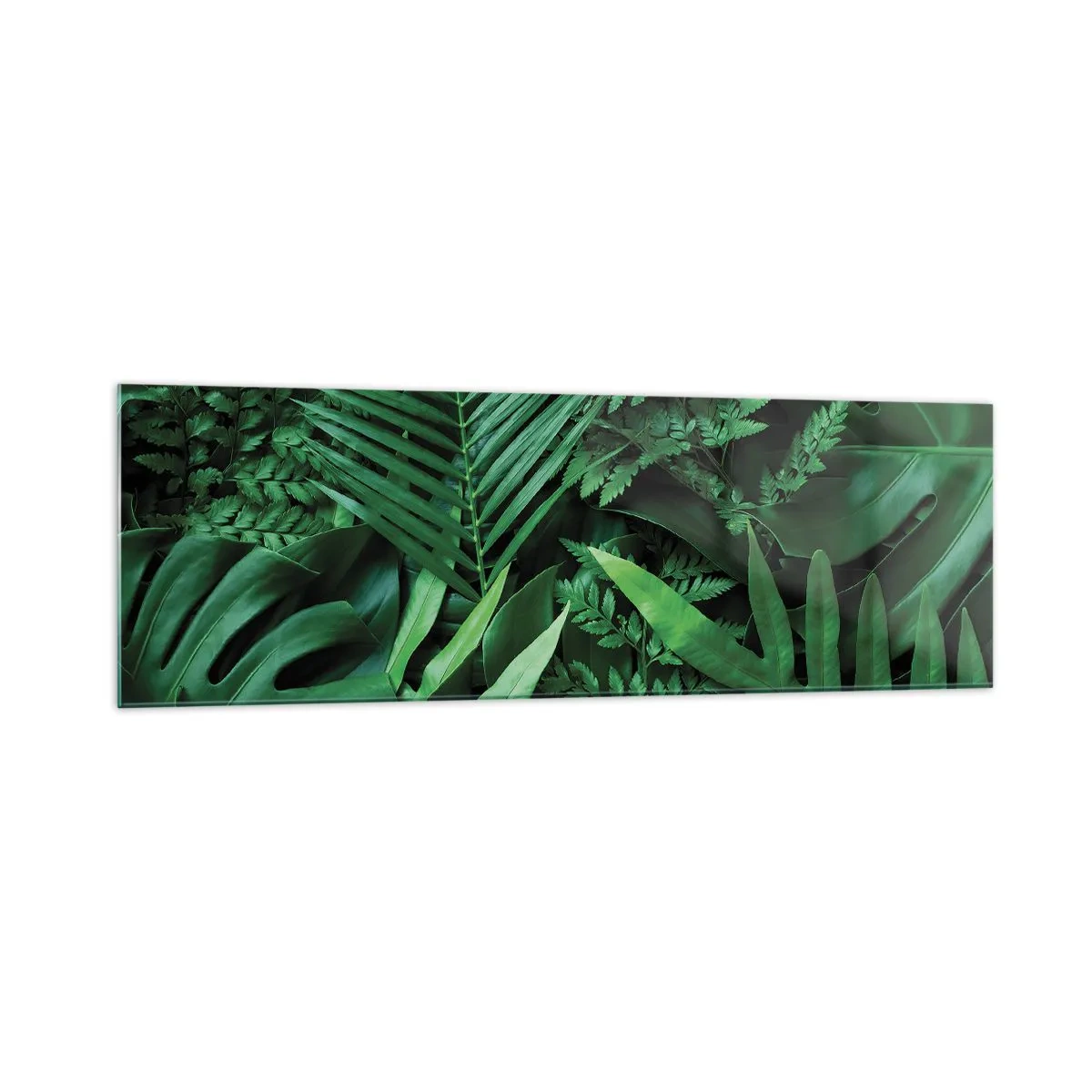 Impression sur verre - Image sur verre - Feuilles tropicales vertes dans une composition dense et naturelle - 160x50cm - Emmitouflé de verdure - Décoration murale moderne pour le salon et la chambre ARTTOR