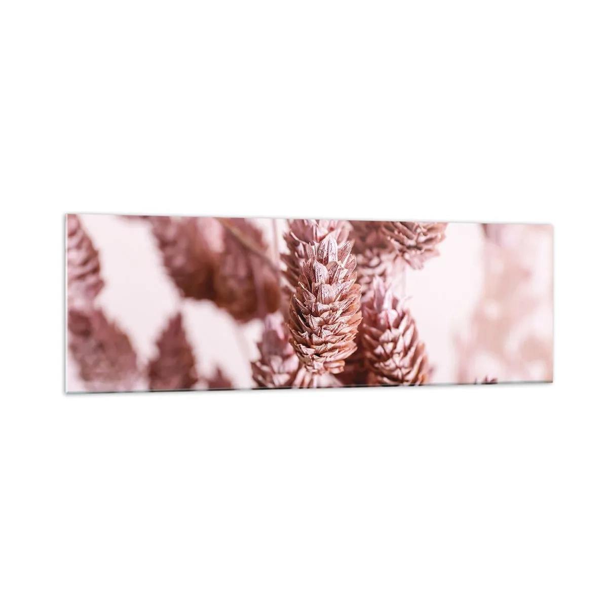 Impression sur verre - Image sur verre - Gros plan sur les délicats épis roses des graminées ornementales - 160x50cm - Apparemment discret - Décoration murale moderne pour le salon et la chambre ARTTOR