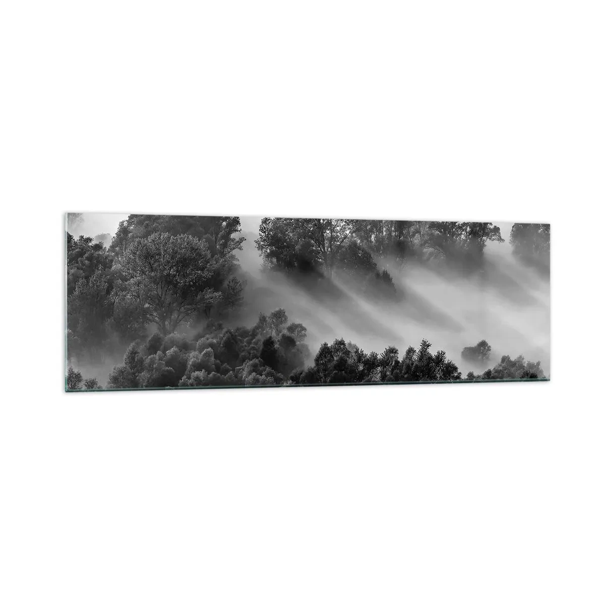Impression sur verre - Image sur verre - Paysage forestier noir et blanc dans le brouillard du matin - 160x50cm - Sortir de son sommeil - Décoration murale moderne pour le salon et la chambre ARTTOR
