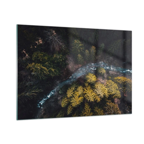 Impression sur verre - Image sur verre - Vue aérienne d'un paysage forestier avec un ruisseau sinueux - 100x70cm - De plus en plus vite - Décoration murale moderne pour le salon et la chambre ARTTOR