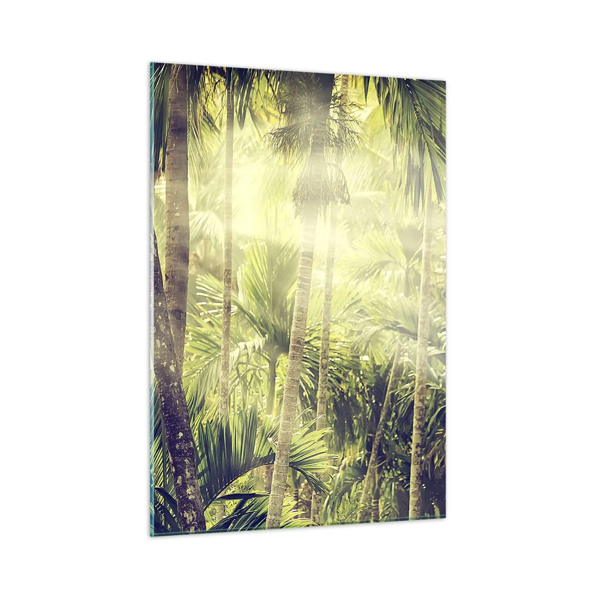 Impression sur verre - Image sur verre - Jungle tropicale verte au soleil - 50x70cm - Nature enflammée - Décoration murale moderne pour le salon et la chambre ARTTOR