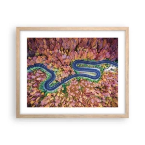 Affiche dans un chêne clair - Poster - Route sinueuse à travers la forêt - 50x40 cm