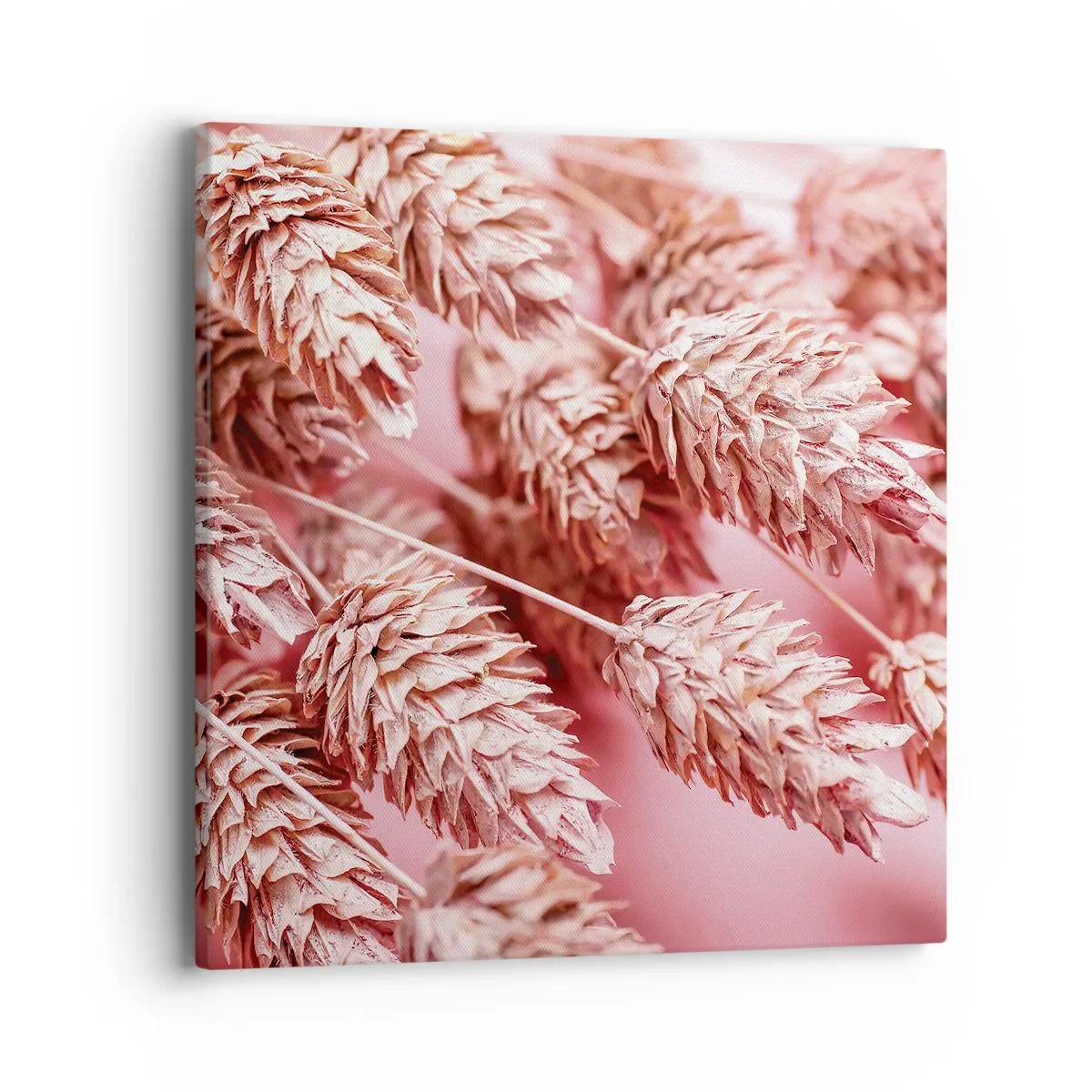 Impression sur toile - Image sur toile - Une cascade florale en rose - 40x40 cm
