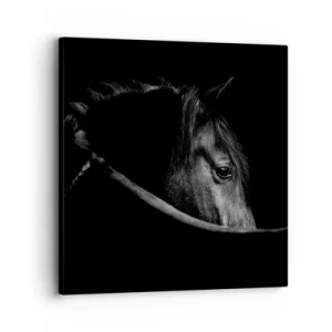 Impression sur toile - Image sur toile - Prince Noir - 30x30 cm