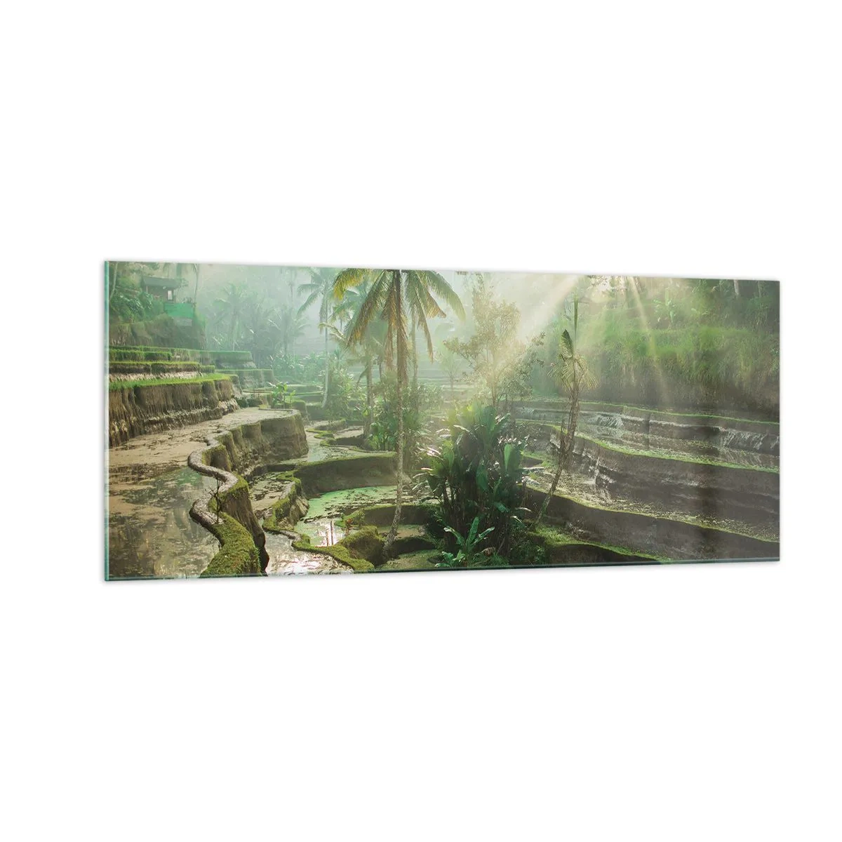 Impression sur verre - Image sur verre - Grandir au soleil - 100x40 cm