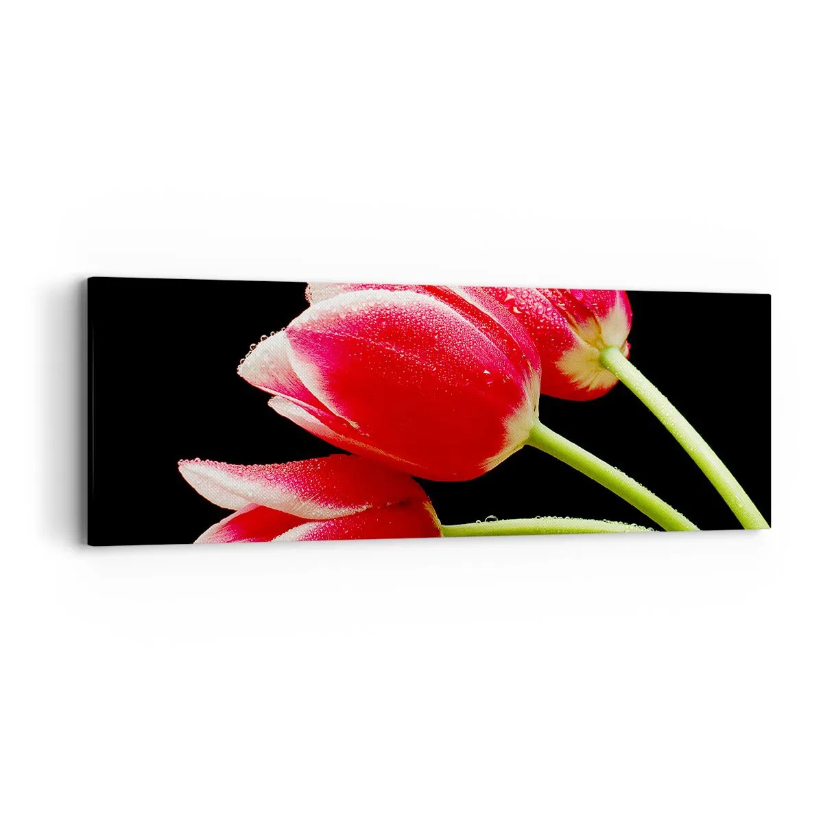 Impression sur toile - Image sur toile - Une promesse d'amour pur - 90x30 cm