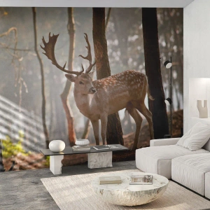 Papier Peint Photo Premium Canvas - La lumière de la jeunesse - Animaux, Cerf, Forêt - 450x315 cm