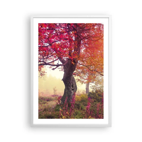 Affiche dans un cadre blanc - Poster - Frénésie de floraison - 50x70 cm