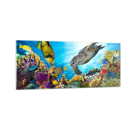 Impression sur verre - Image sur verre - Promenade de corail - 100x40 cm