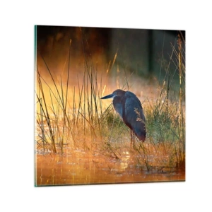 Impression sur verre - Image sur verre - Allez, laissez-moi en paix avec ces photos - 50x50 cm