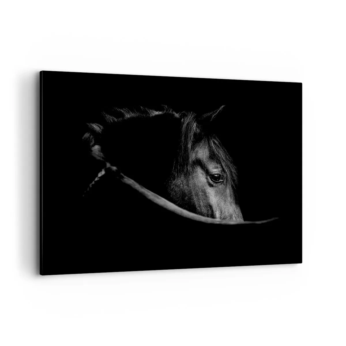 Impression sur toile - Image sur toile - Portrait en noir et blanc d'un cheval avec un jeu subtil de lumière et d'ombre sur un fond sombre. - 100x70cm - Prince Noir - Décoration murale moderne pour le salon et la chambre ARTTOR