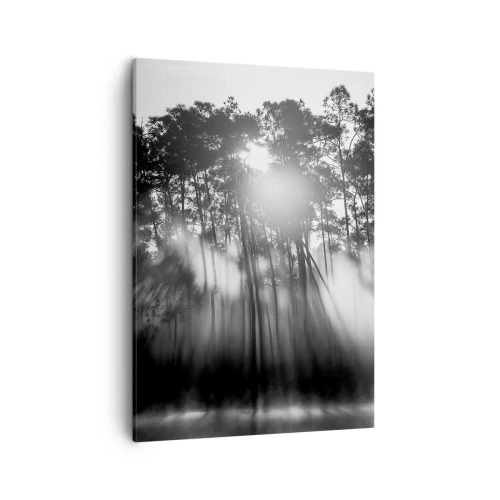 Impression sur toile - Image sur toile - Forêt noire et blanche dans le brouillard du matin - 50x70cm - Soleil inarrêtable - Décoration murale moderne pour le salon et la chambre ARTTOR