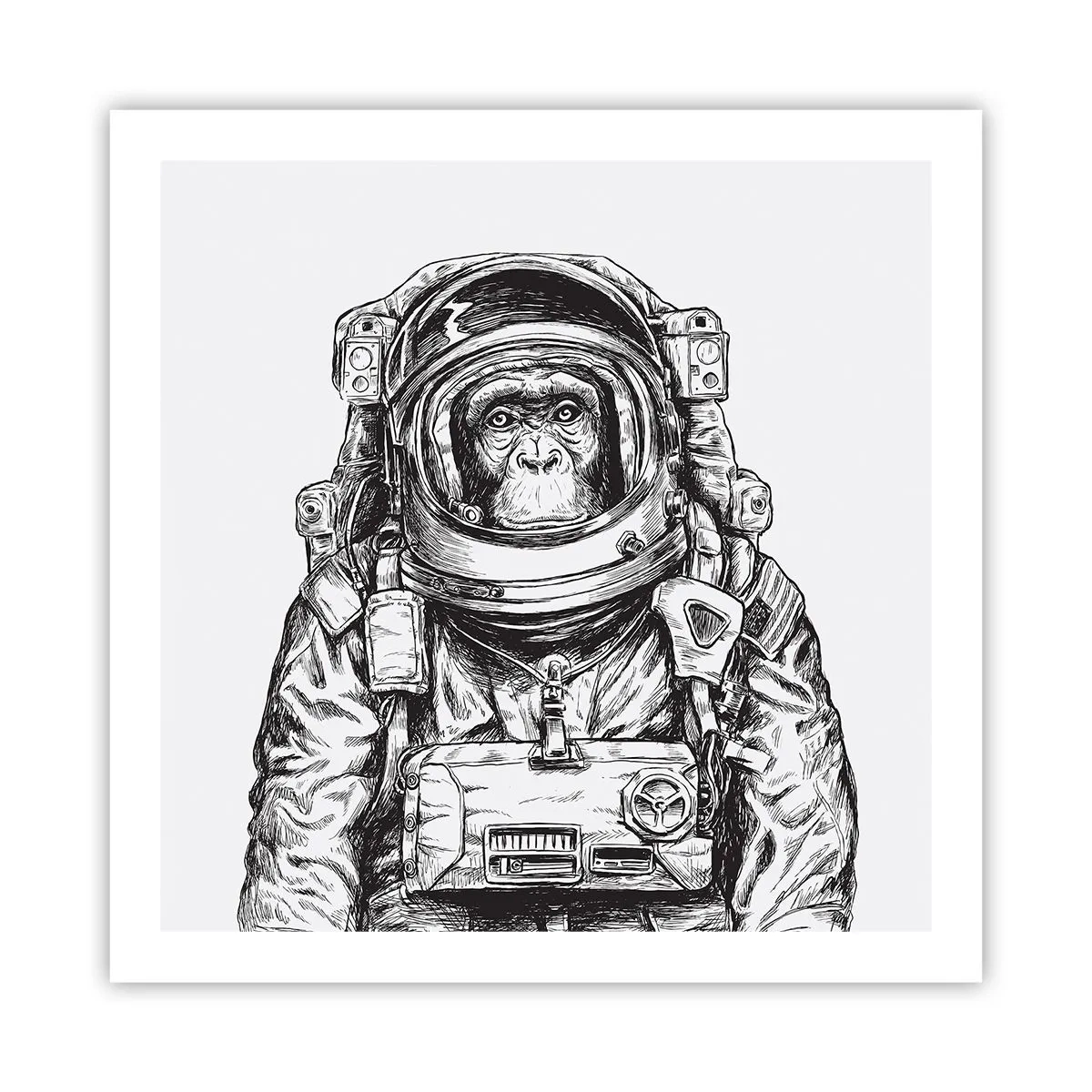 Affiche - Poster - Évolution alternative - 60x60 cm